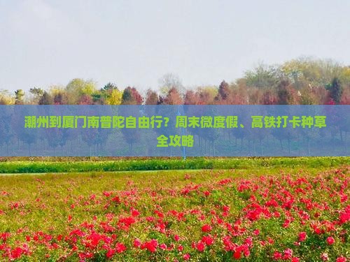 潮州到厦门南普陀自由行