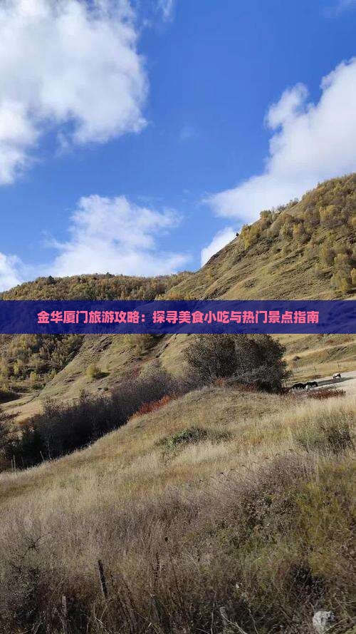 金华到厦门旅游小吃