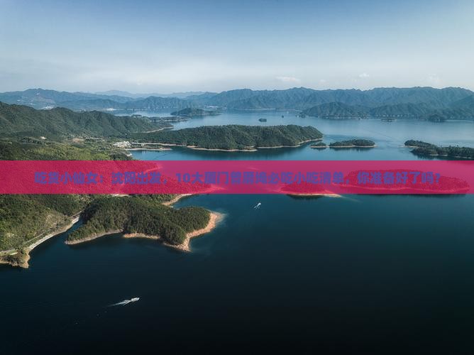 沈阳去厦门曾厝埯旅游小吃