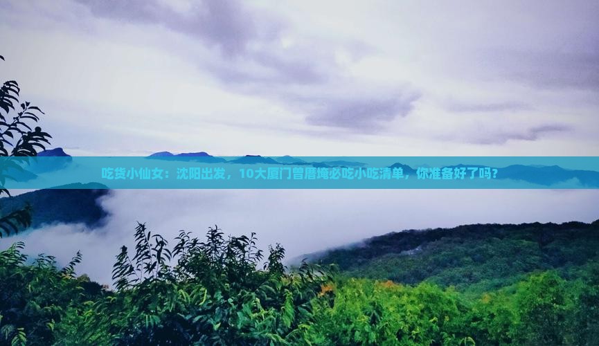 沈阳去厦门曾厝埯旅游小吃