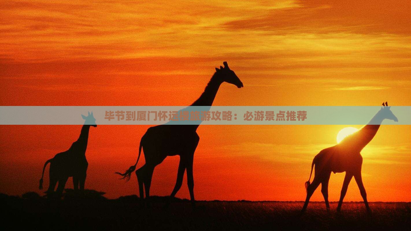 毕节到厦门怀远楼团体旅游