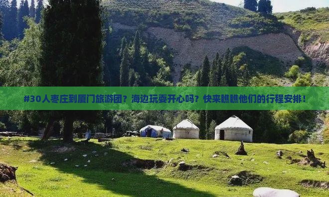 枣庄到厦门曾厝埯大型旅游团