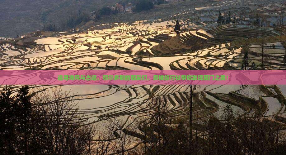 鄂尔多斯去厦门和贵楼旅行社
