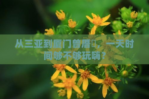 三亚去厦门曾厝埯一日