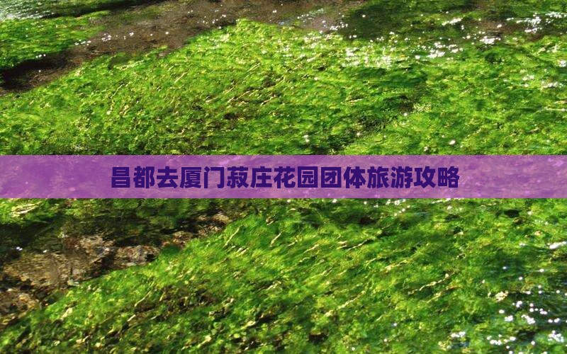 昌都去厦门菽庄花园团体旅游