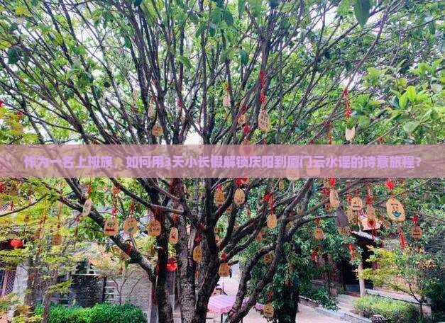 庆阳到厦门云水谣三日游 庆阳到厦门云水谣三日游