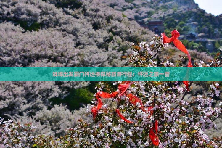 蚌埠去厦门怀远楼团体旅游