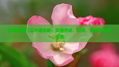 温州到厦门云水谣攻略