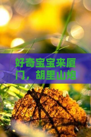 来宾去厦门胡里山炮台景点