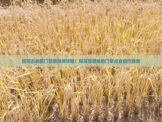 信阳到厦门曾厝埯自由行