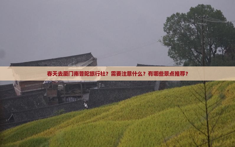 春天去厦门南普陀旅行社