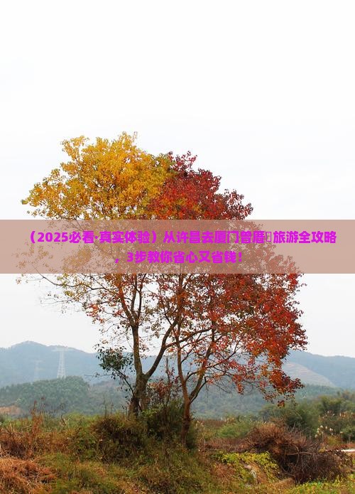 许昌到厦门曾厝埯旅游