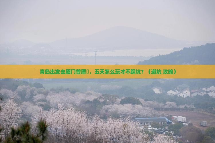 青岛去厦门曾厝埯五日游