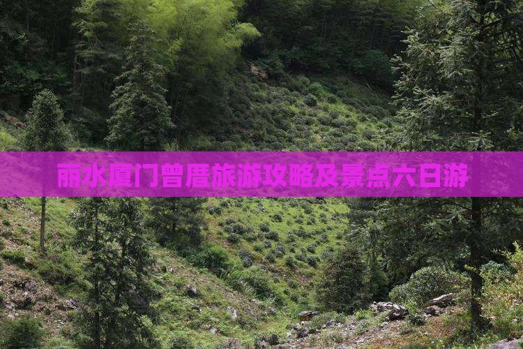 丽水去厦门曾厝埯六日游