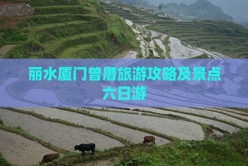 丽水去厦门曾厝埯六日游