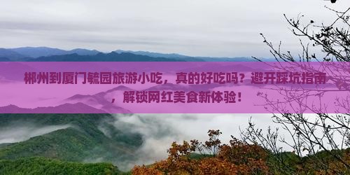 郴州到厦门毓园旅游小吃