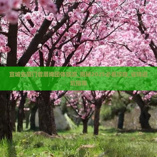 宣城去厦门曾厝埯团体旅游