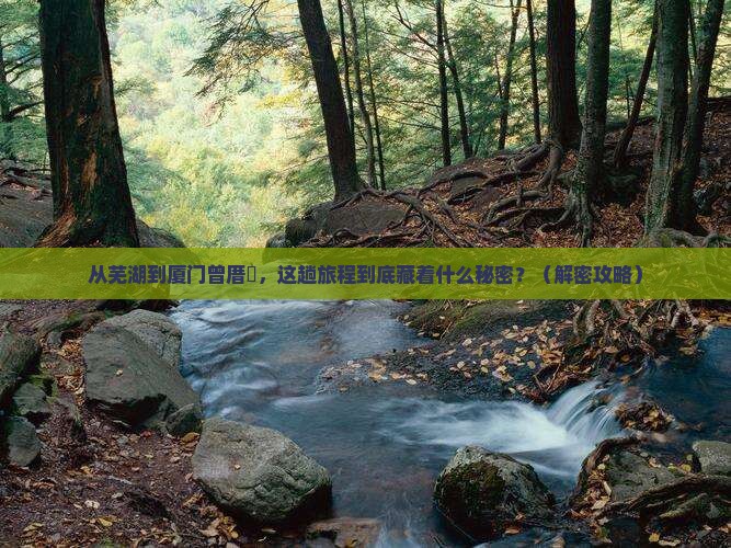 芜湖到厦门曾厝埯必去地