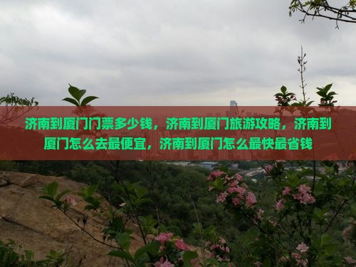 济南到厦门门票