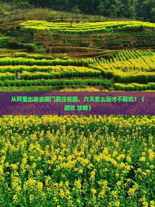 阿里到厦门菽庄花园六日游