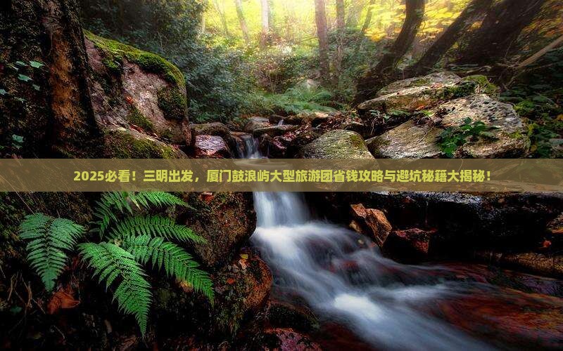 三明到厦门鼓浪屿大型旅游团