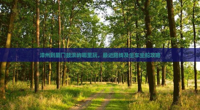 漳州到厦门鼓浪屿哪里玩