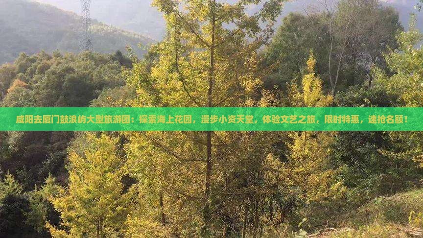 咸阳去厦门鼓浪屿大型旅游团