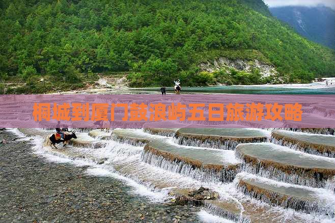 桐城到厦门鼓浪屿五日游