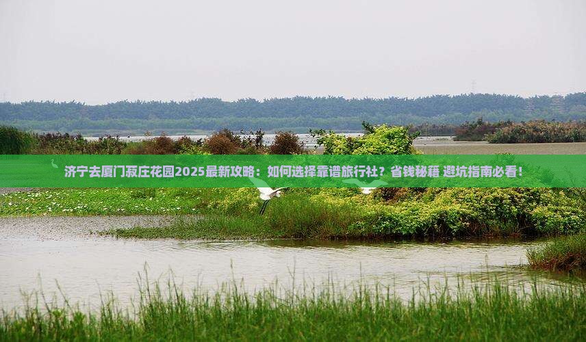 济宁去厦门菽庄花园旅行社