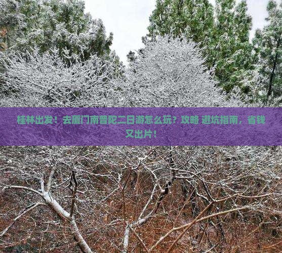 桂林去厦门南普陀二日游