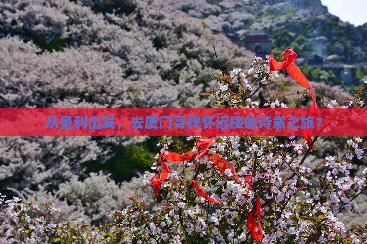 垦利到厦门怀远楼二日游