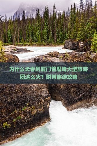 长春到厦门曾厝埯大型旅游团