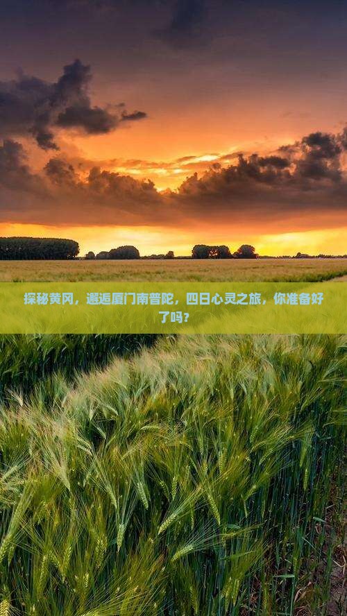 黄冈到厦门南普陀四日游 黄冈到厦门南普陀四日游