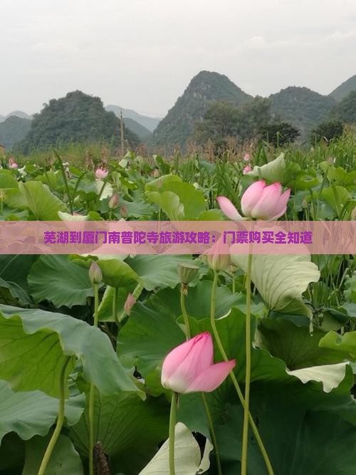 芜湖去厦门南普陀门票