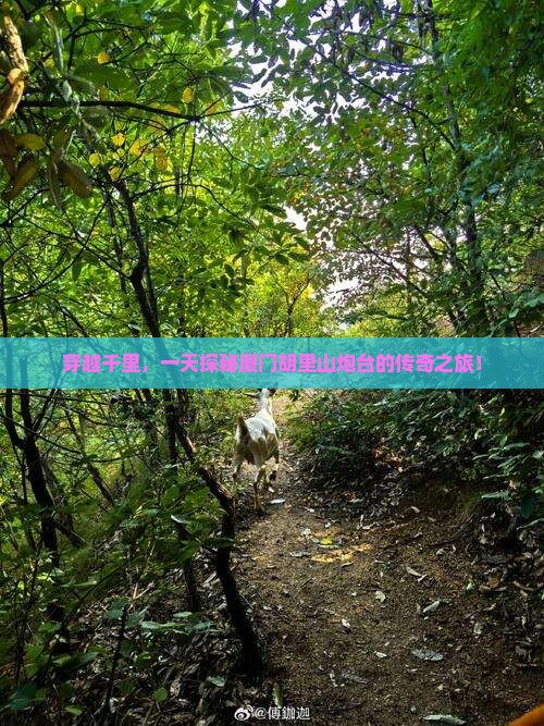 淮北到厦门胡里山炮台一日