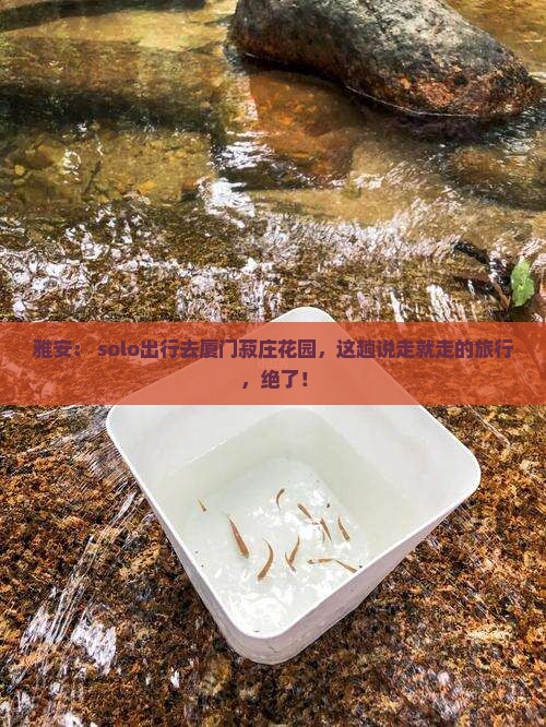 雅安去厦门菽庄花园个人游
