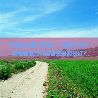 石嘴山去厦门门票