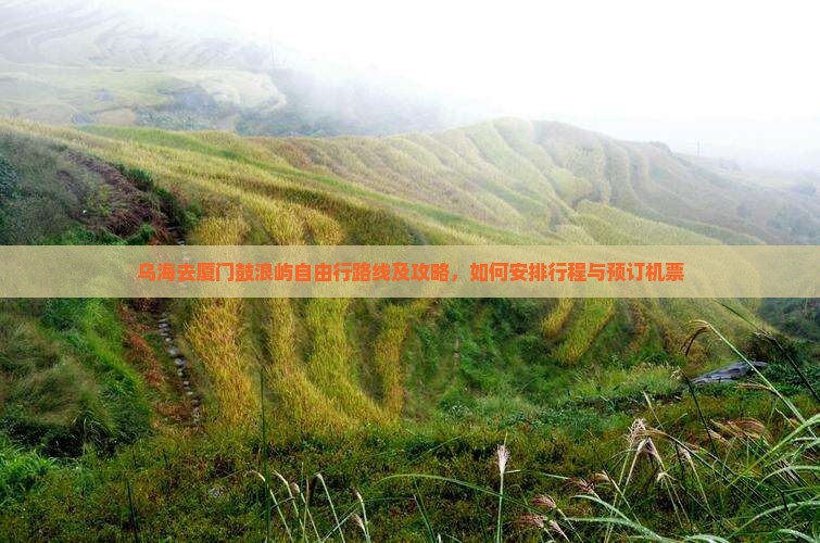 乌海去厦门鼓浪屿自由行