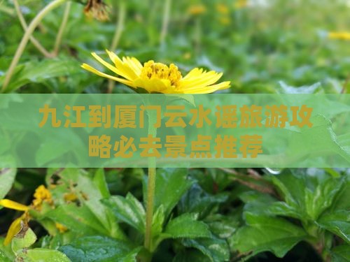 九江去厦门云水谣必去地