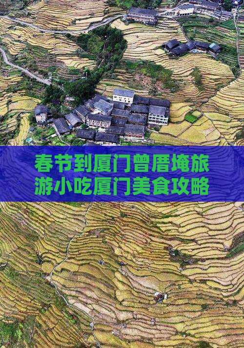 春节到厦门曾厝埯旅游小吃