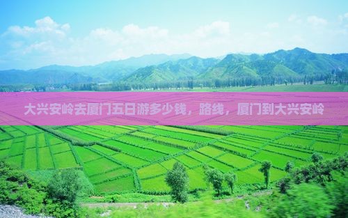 大兴安岭去厦门五日游
