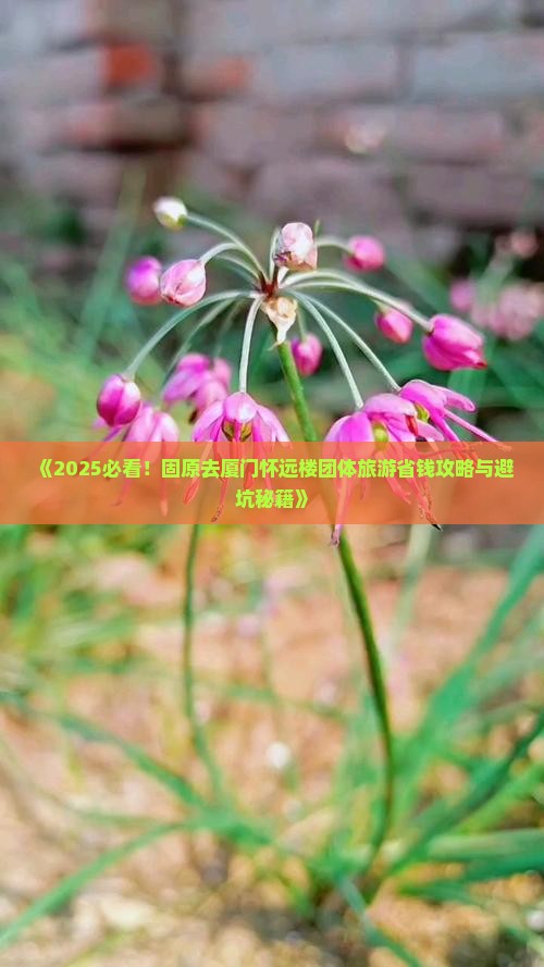 固原去厦门怀远楼团体旅游