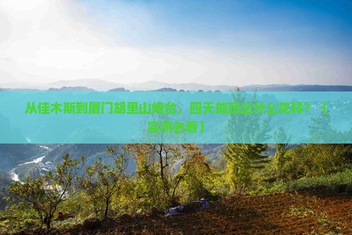 佳木斯到厦门胡里山炮台四日游