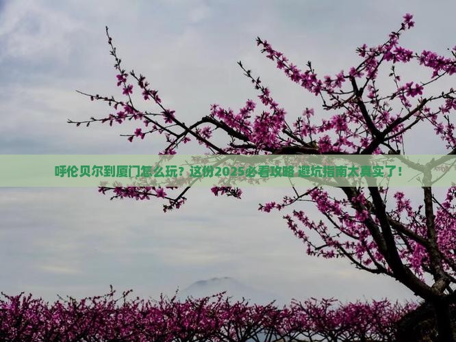 呼伦贝尔到厦门必去地