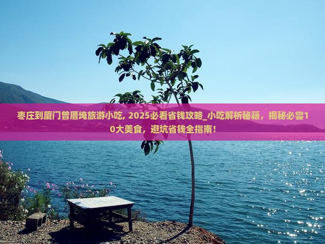 枣庄到厦门曾厝埯旅游小吃