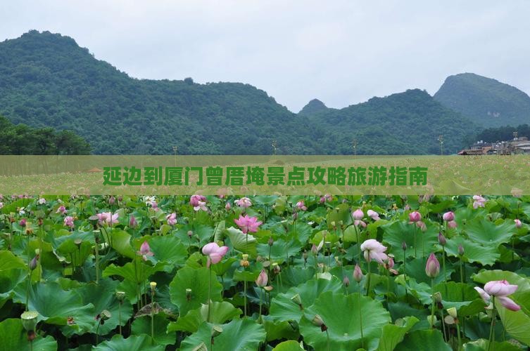 延边到厦门曾厝埯景点