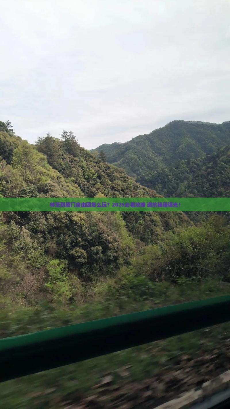 林芝到厦门自由团