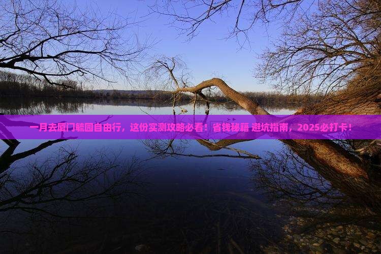 一月去厦门毓园自由团