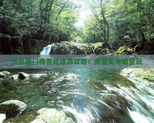 元旦到厦门南普陀哪里玩