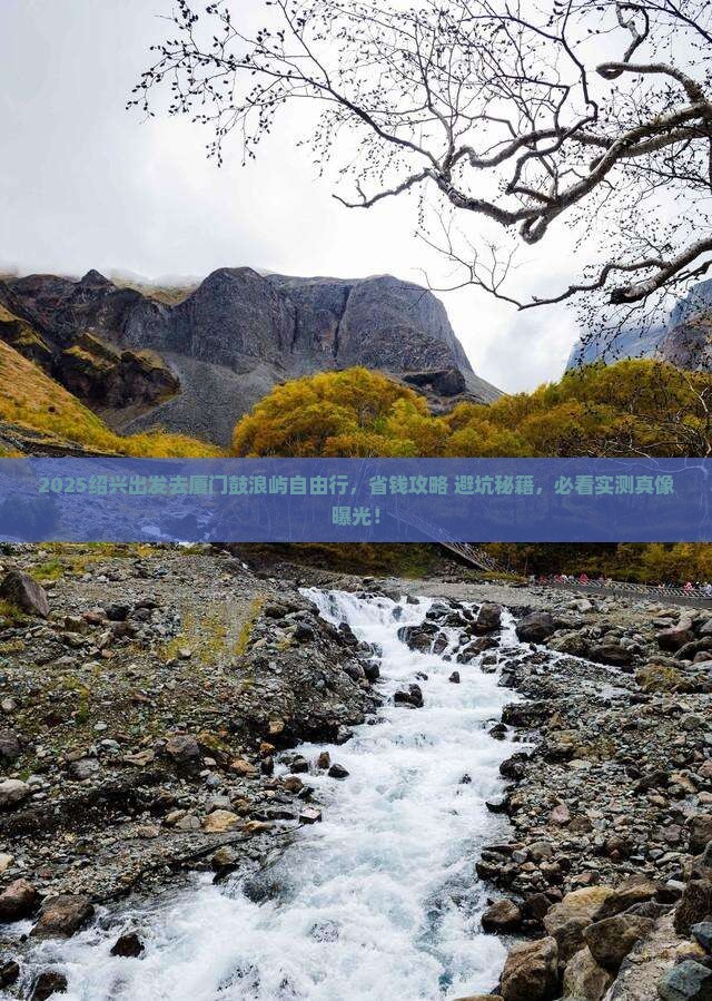 绍兴去厦门鼓浪屿自由行